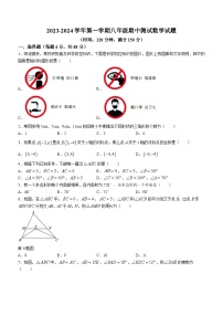 山东省德州市宁津县第六实验中学2023-2024学年八年级上学期期中数学试题