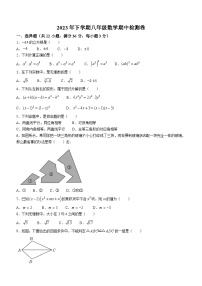 湖南省衡阳市外国语学校2023-2024学年八年级上学期期中数学试题