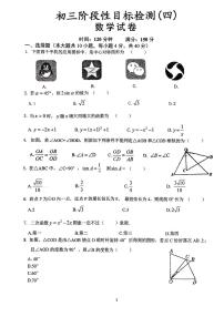 安徽省六安市金安区安徽省六安皋城中学2023-2024学年九年级上学期12月月考数学试题