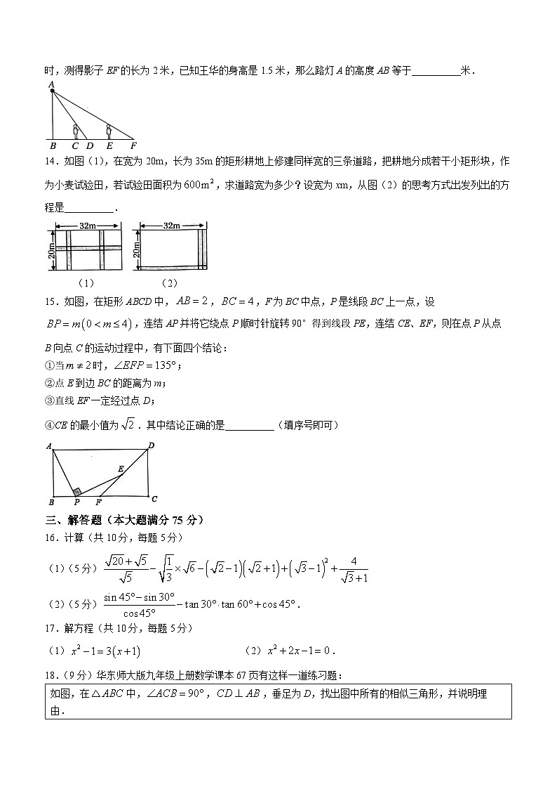 河南省南阳市唐河县2023-2024学年九年级上学期期中数学试题(无答案)03