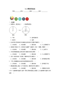 初中数学苏科版七年级上册5.2 图形的运动当堂达标检测题