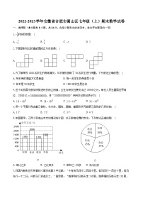 2022-2023学年安徽省合肥市蜀山区七年级（上）期末数学试卷（含答案解析）