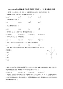 2022-2023学年湖南省长沙市望城区七年级（上）期末数学试卷（含答案解析）