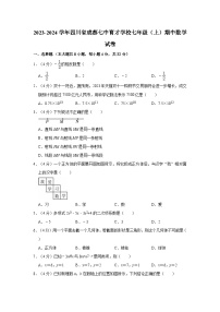 四川省成都市七中育才学校2023-2024学年上学期七年级期中数学试卷