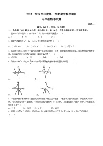 江苏省徐州市睢宁县2023-2024学年九年级上学期期中数学试题(无答案)