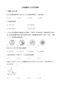 八年级上学期数学第三次月考试卷 (6)