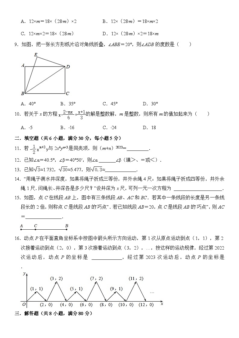 浙江省温州市2023年七年级上册期末考试模拟数学卷 02（原卷+解析卷）02