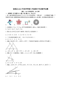 四川省广元市苍溪县2023-2024学年八年级上学期期中考试数学试卷(含答案)