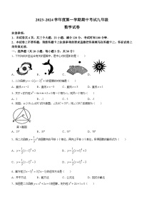 河南省漯河市临颍县2023-2024学年九年级上学期期中数学试题