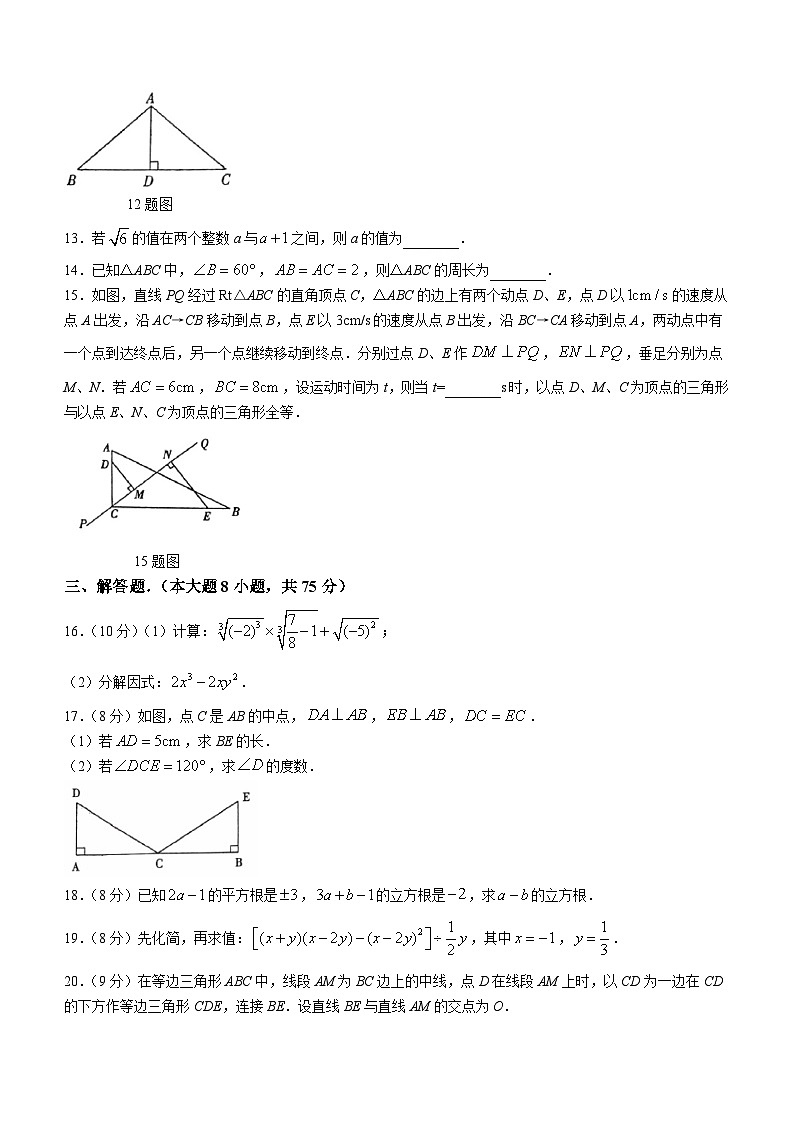 河南省新乡市原阳县路寨乡贾村实验学校2023-2024学年八年级上学期期中数学试题03