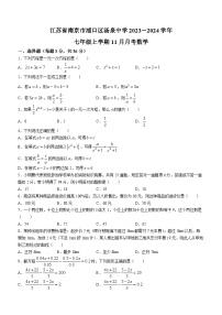 江苏省南京市浦口区浦口区汤泉中学2023-2024学年七年级上学期11月月考数学试题