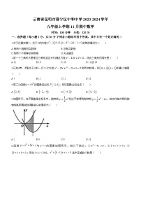 云南省昆明市晋宁区中和中学2023-2024学年九年级上学期期中数学试题