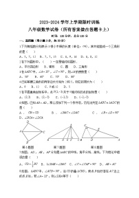 广东省中山市小榄镇2023-2024学年八年级上学期期中考试数学试题