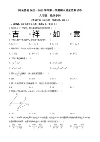 八年级上学期期末数学试题 (5)