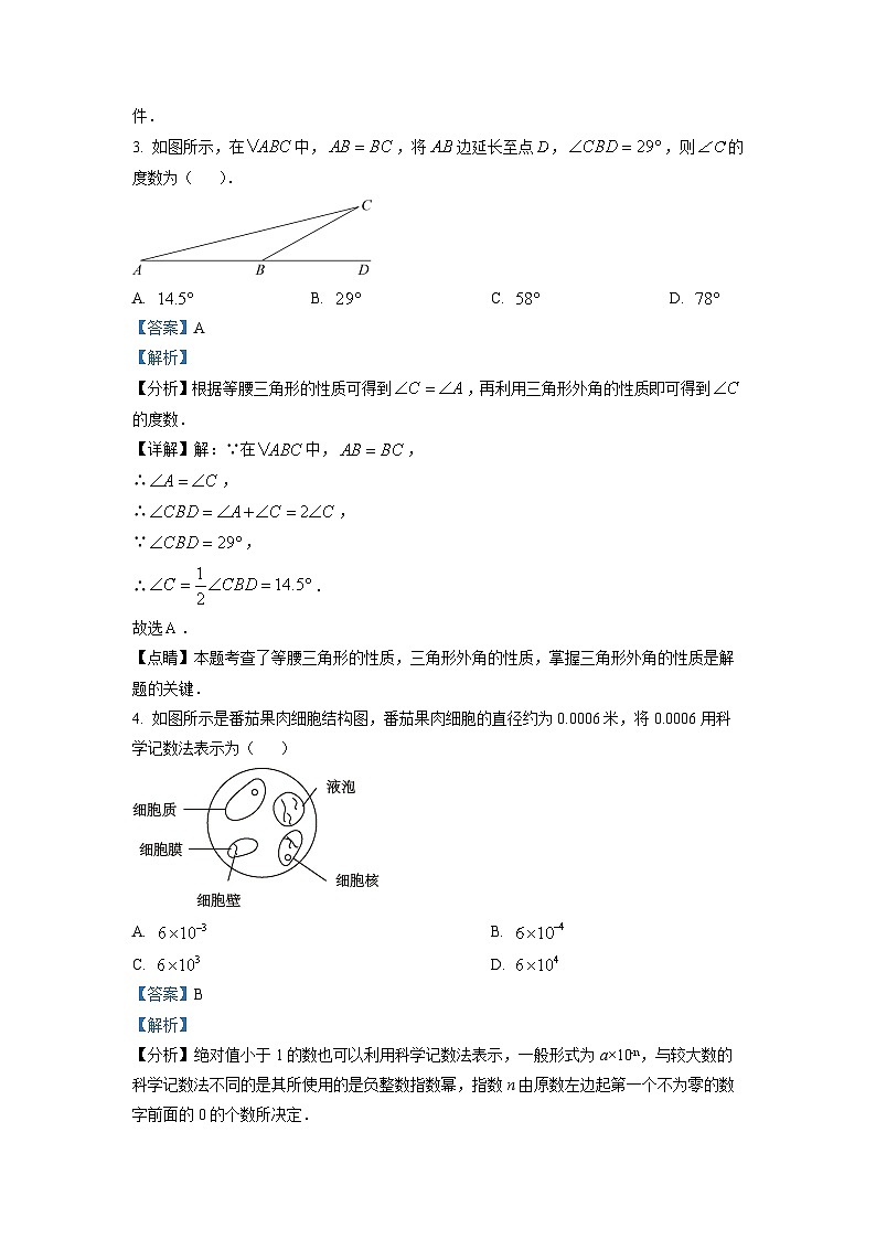 八年级上学期期末数学试题 (6)第2页