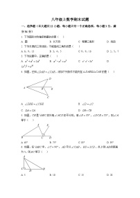 八年级上学期期末数学试题 (13)