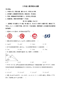 八年级上学期期末数学试题 (15)