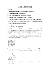 八年级上学期期末数学试题 (19)