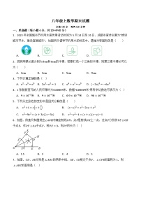 八年级上学期期末数学试题 (23)