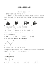 八年级上学期期末数学试题 (31)