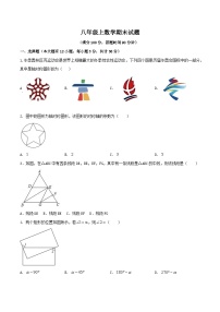 八年级上学期期末数学试题 (33)