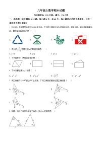 八年级上学期期末数学试题 (43)