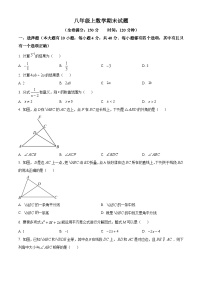 八年级上学期期末数学试题 (45)