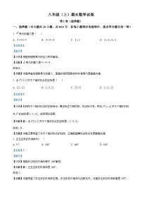 八年级上学期期末数学试题 (46)