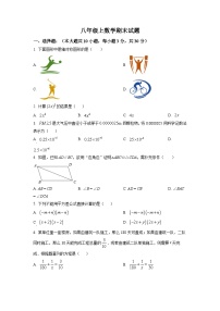 八年级上学期期末数学试题 (53)