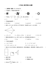 八年级上学期期末数学试题 (59)