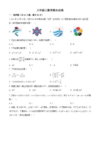 八年级上学期期末数学试题 (69)