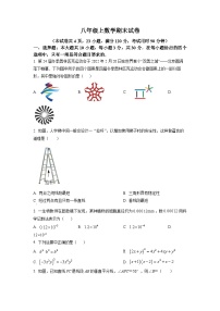 八年级上学期期末数学试题 (79)