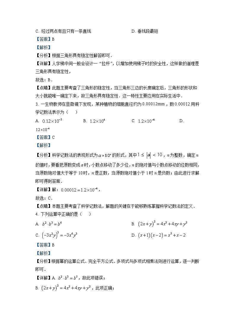 八年级上学期期末数学试题 (78)第2页