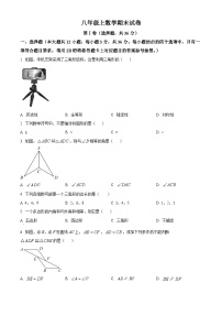 八年级上学期期末数学试题 (81)