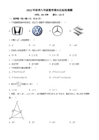 八年级上学期期末数学试题 (97)