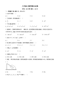 八年级上学期期末数学试题 (91)