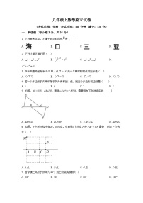 八年级上学期期末数学试题 (95)