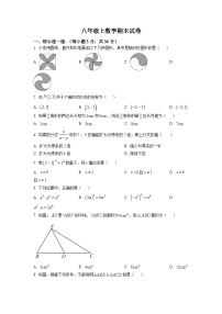 八年级上学期期末数学试题 (93)