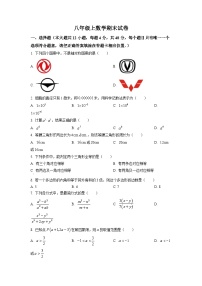 八年级上学期期末数学试题 (87)