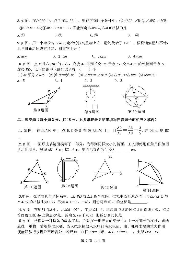 山东省菏泽市定陶区2023-2024学年九年级上学期期中考试数学试题02