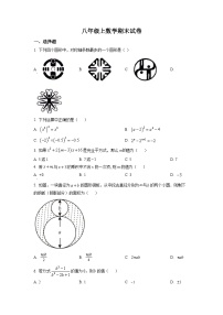 八年级上学期期末数学试题 (125)