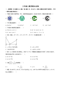 八年级上学期期末数学试题 (137)