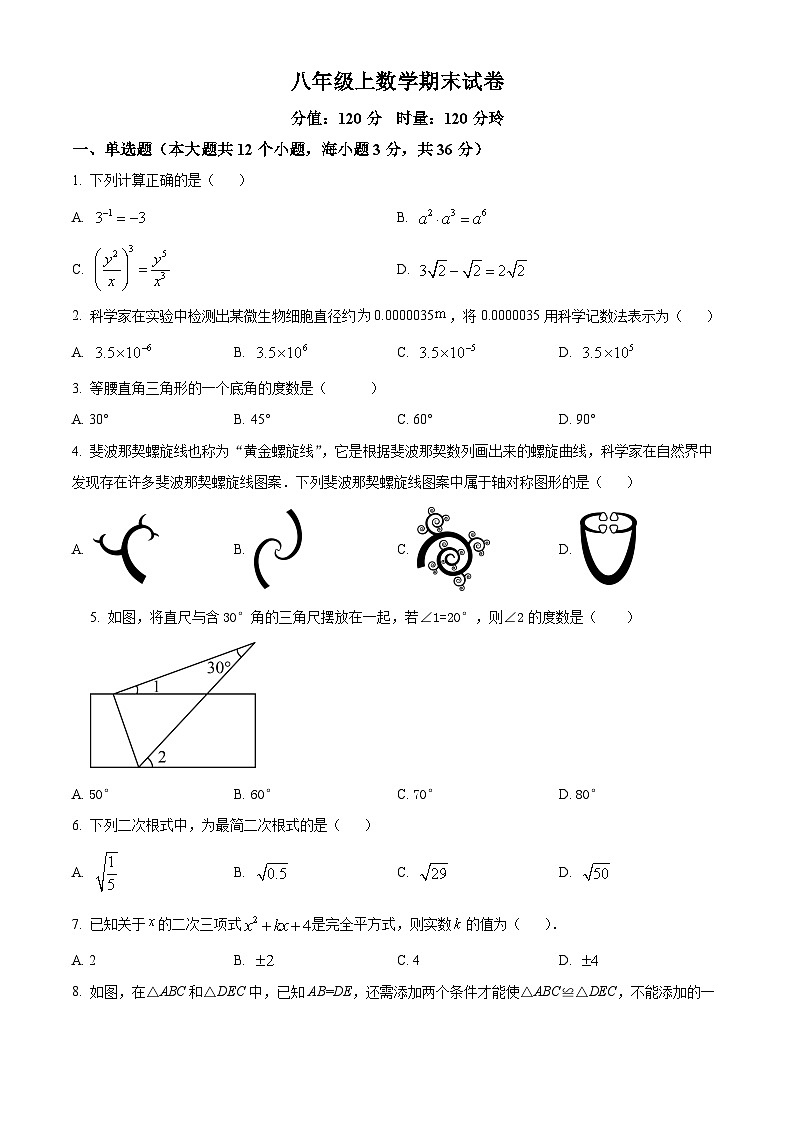 八年级上学期期末数学试题 (141)第1页