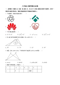 八年级上学期期末数学试题 (147)