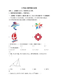 八年级上学期期末数学试题 (151)