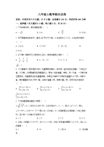 八年级上学期期末数学试题 (153)