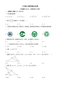 八年级上学期期末数学试题 (155)