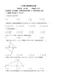 八年级上学期期末数学试题 (167)