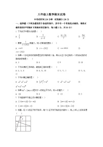 八年级上学期期末数学试题 (177)