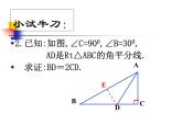 冀教版数学八年级上册16.3 角的平分线 课件